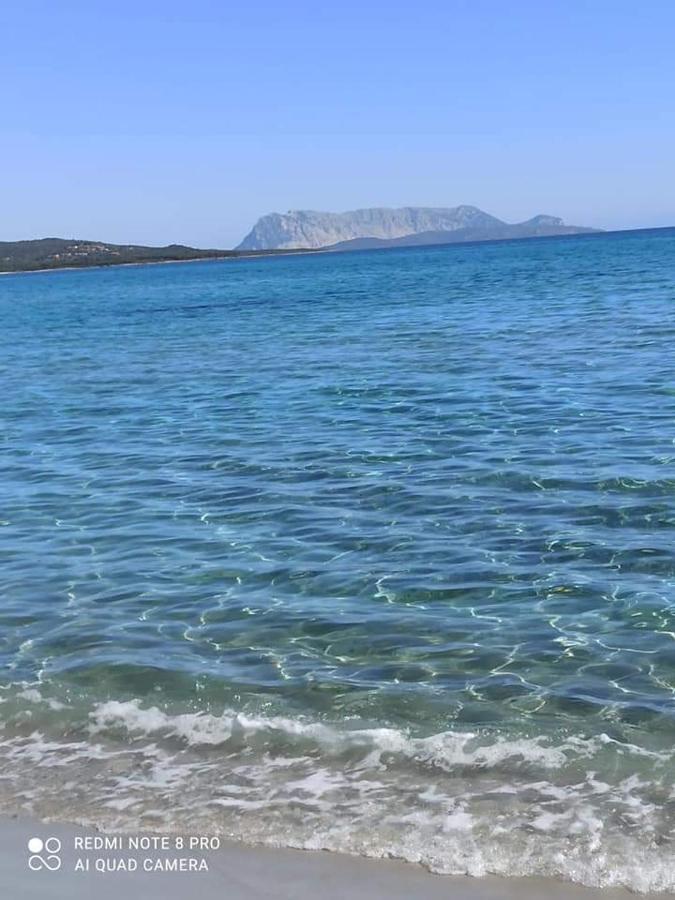 Sa Tanca De Su Mare Bed & Breakfast Budoni Eksteriør bilde